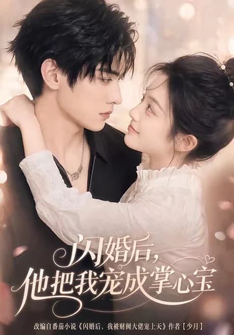 闪婚后,他把我宠成掌心宝海报
