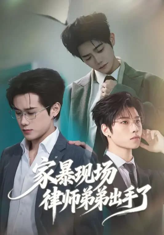 家暴现场律师弟弟出手了海报