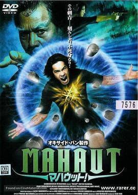 无坚不摧2003海报