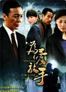 为爱放手海报