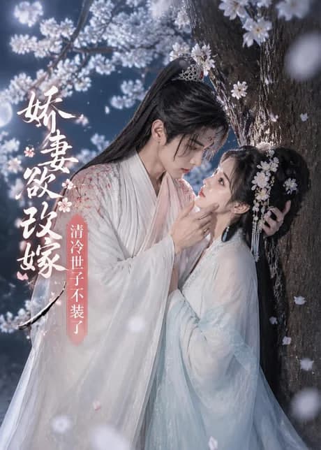 娇妻欲改嫁，清冷世子不装了海报