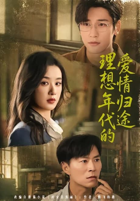 理想年代的爱情归途海报