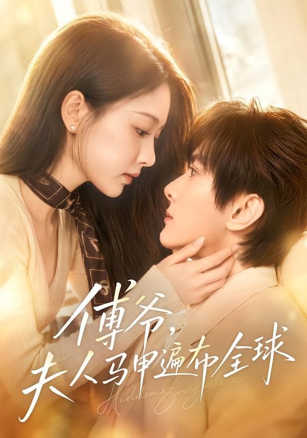 傅爷，夫人马甲遍布全球海报