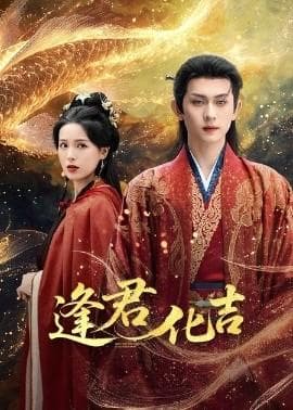 逢君化吉海报