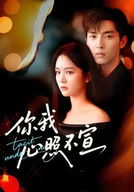 你我心照不宣海报
