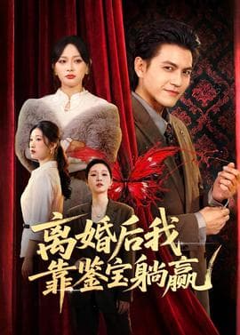 离婚后我靠鉴宝躺赢海报