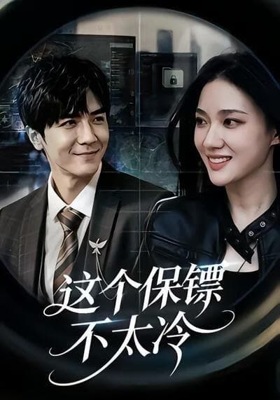 这个保镖不太冷海报