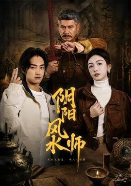 阴阳风水师海报