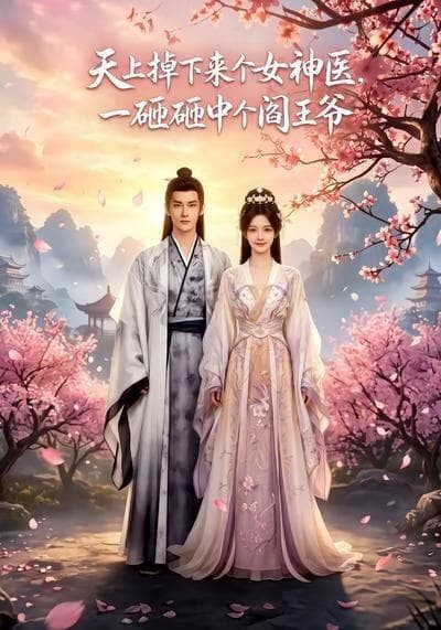天上掉下来个女神医，一砸砸中个阎王爷海报