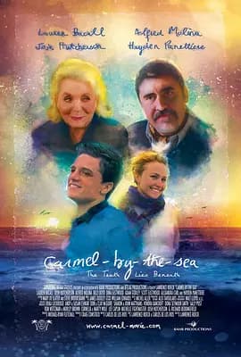 仿造者2012海报