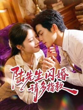 陆先生闪婚请多指教海报