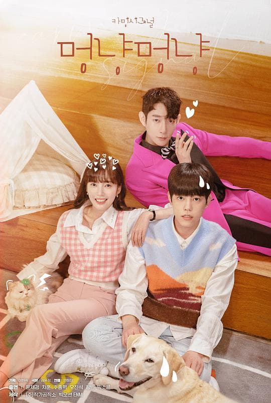 Calming signal 汪喵汪喵海报